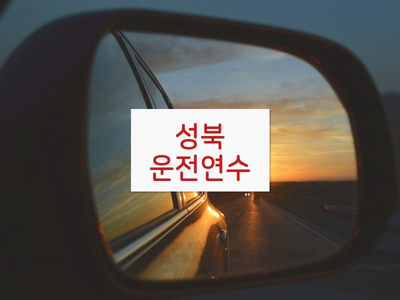 성북운전연수 후기