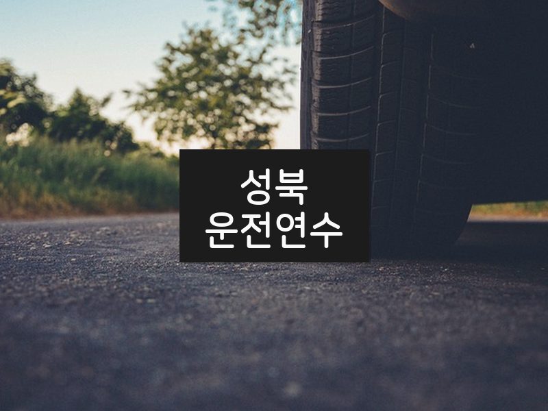 성북운전연수 후기