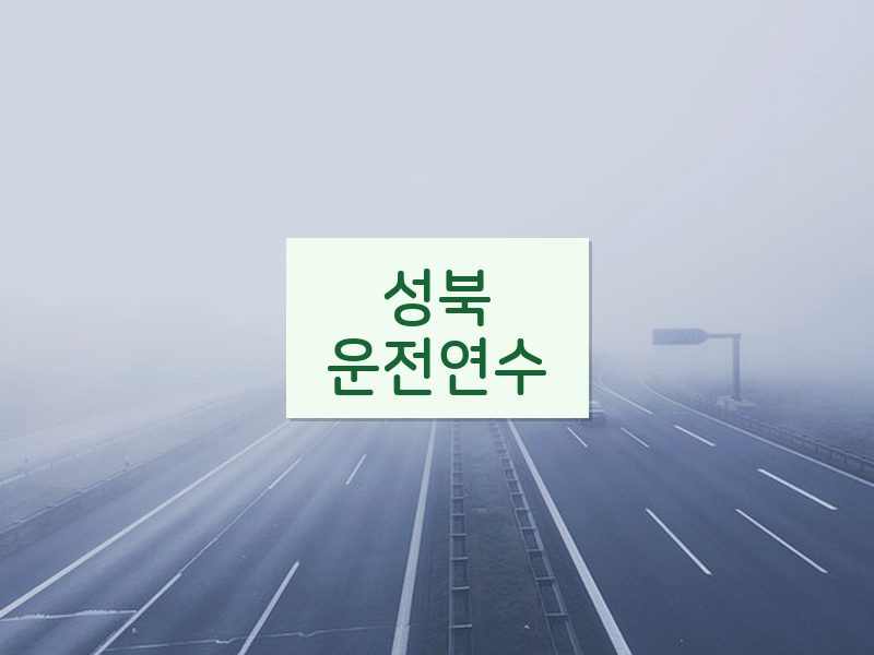 성북운전연수 후기