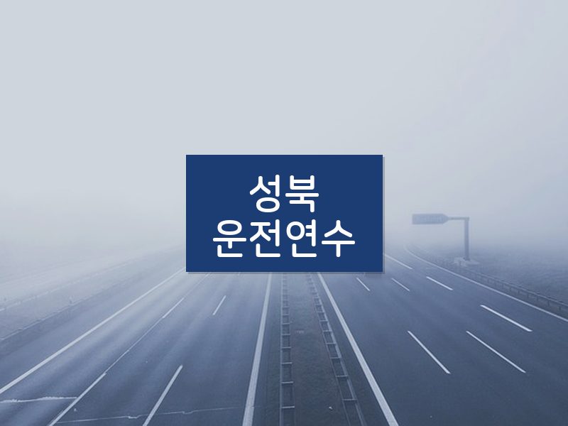 성북운전연수 후기