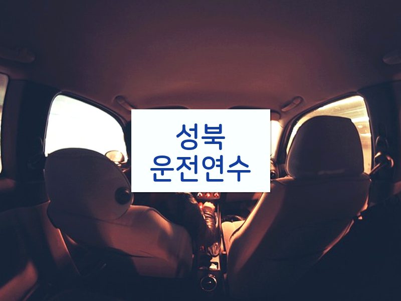 성북운전연수 후기
