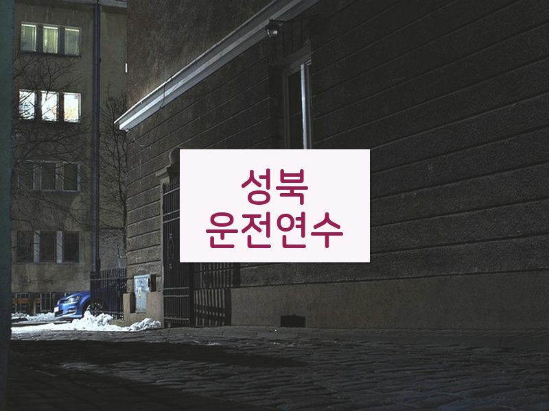 성북운전연수 후기