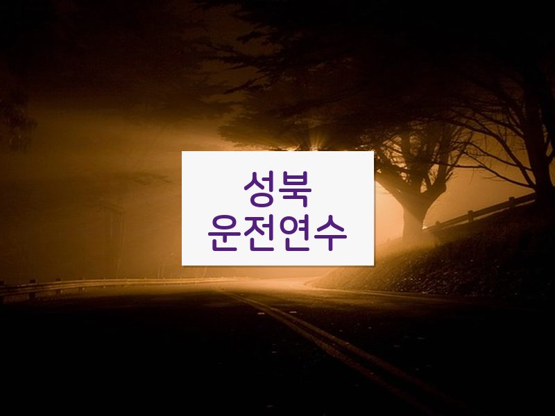 성북운전연수 후기