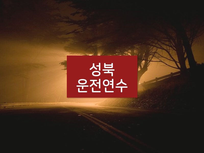 성북운전연수 후기