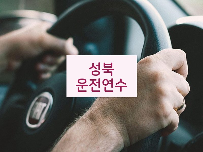 성북운전연수 후기