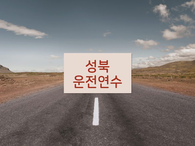 성북운전연수 후기