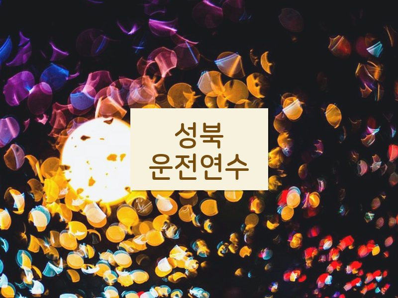 성북운전연수 후기