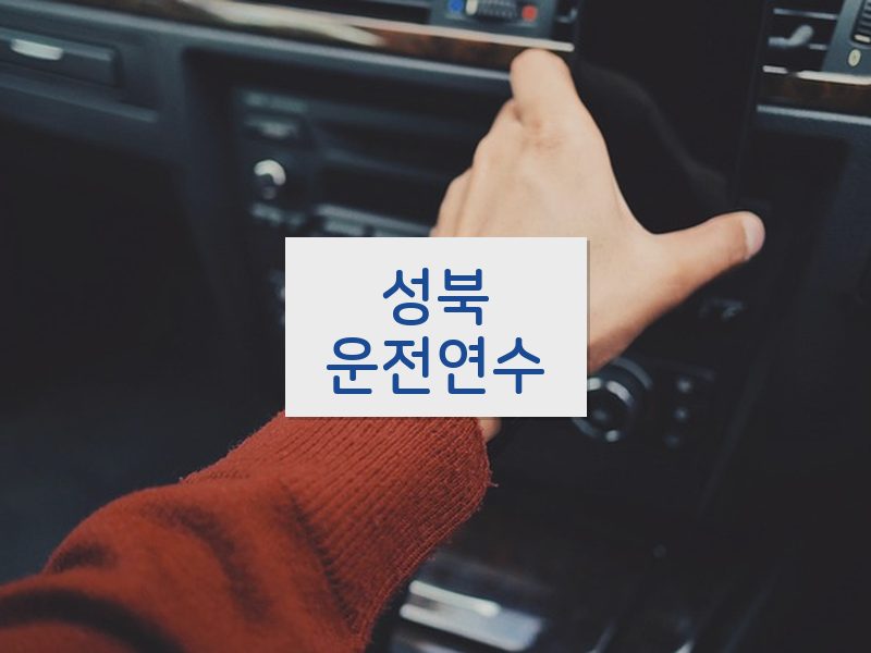 성북운전연수 후기