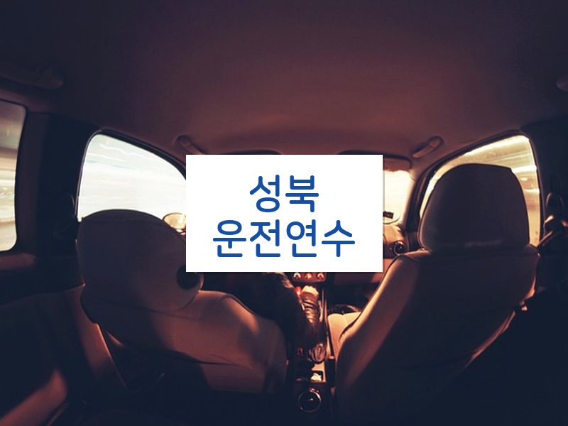 성북운전연수 후기