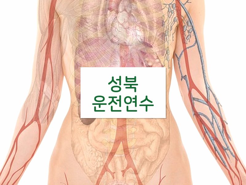 성북운전연수 후기