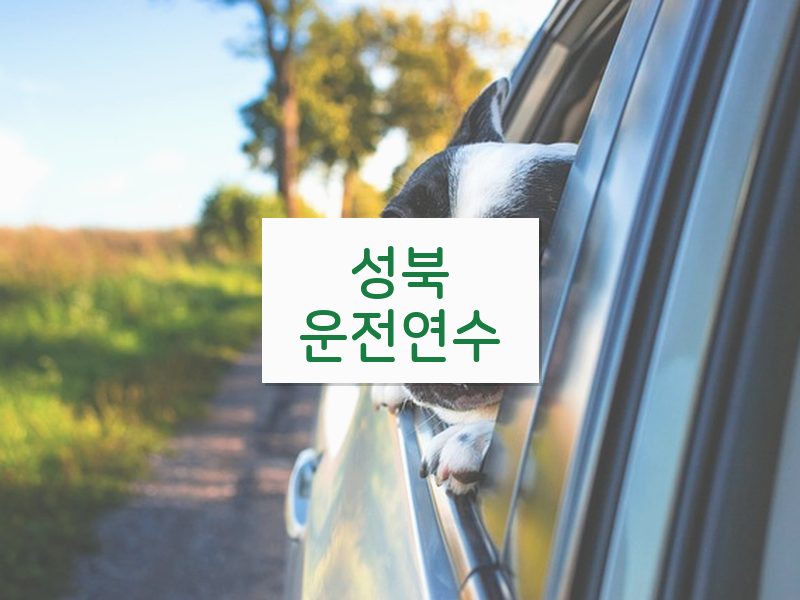 성북운전연수 후기
