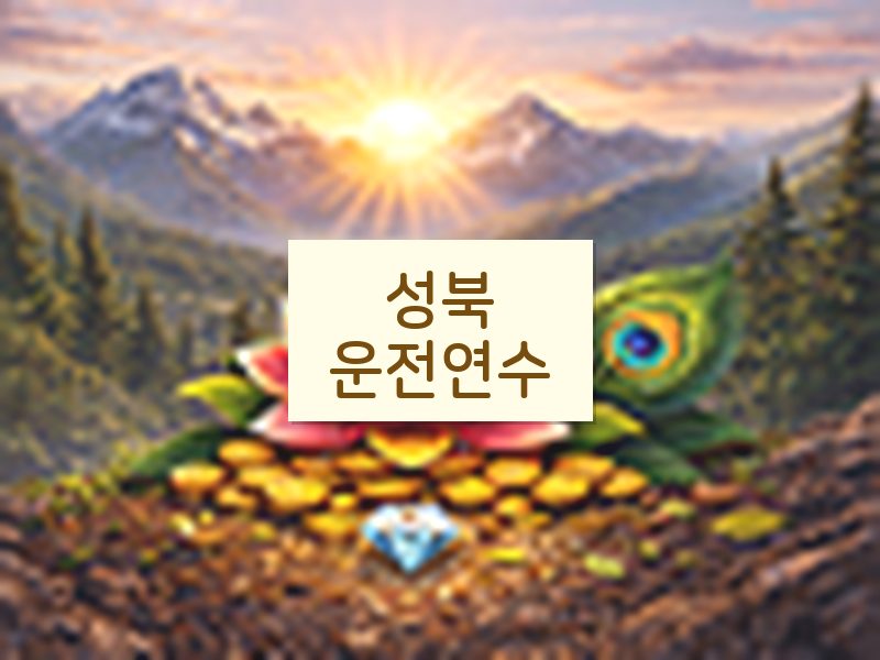 성북운전연수 후기