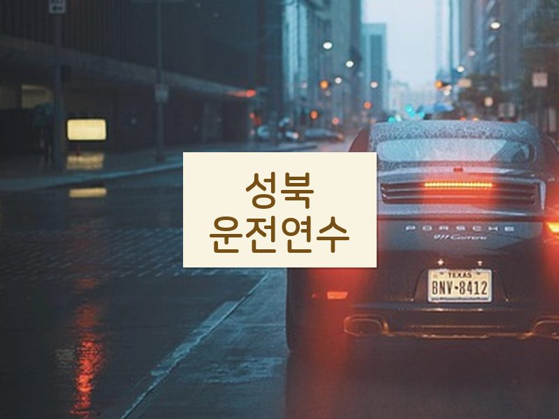 성북운전연수 후기