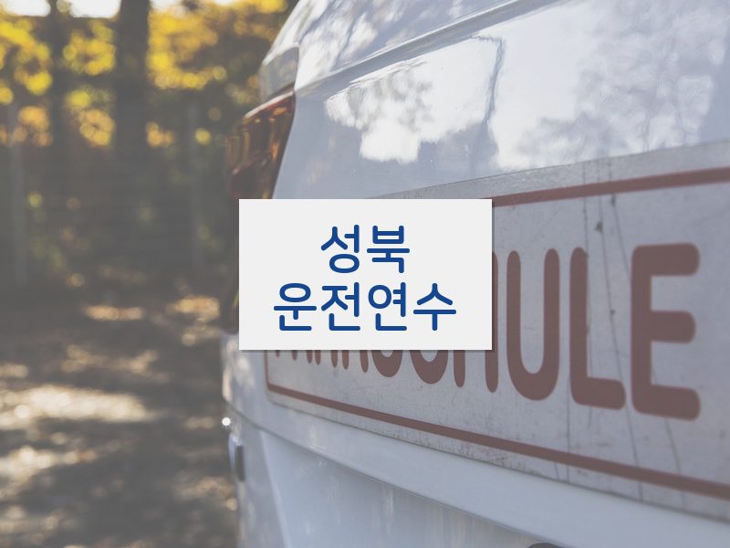 성북운전연수 후기