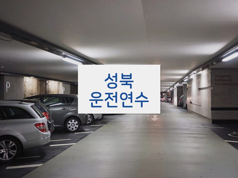 성북운전연수 후기
