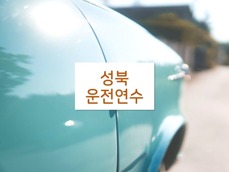 성북운전연수 후기