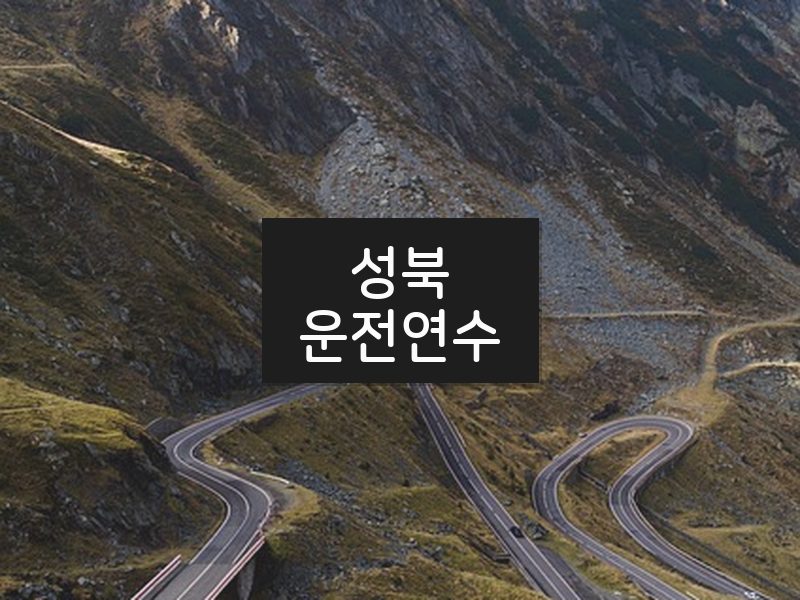 성북운전연수 후기