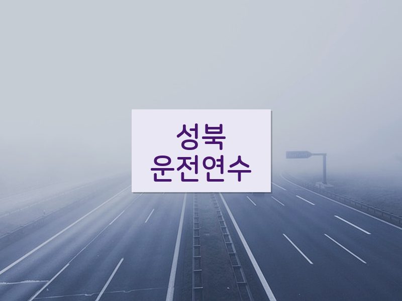 성북운전연수 후기