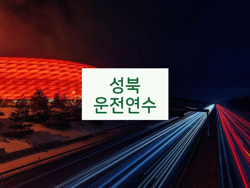 성북운전연수 후기