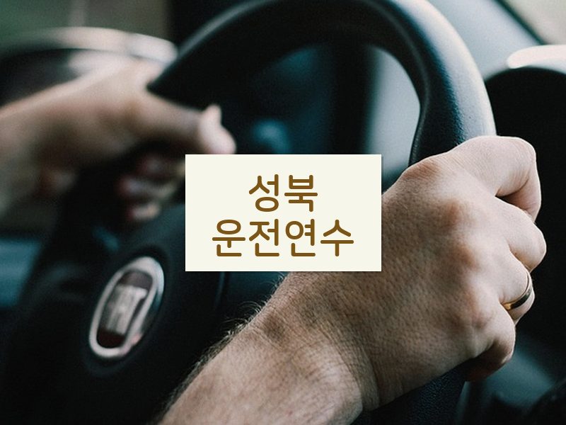 성북운전연수 후기