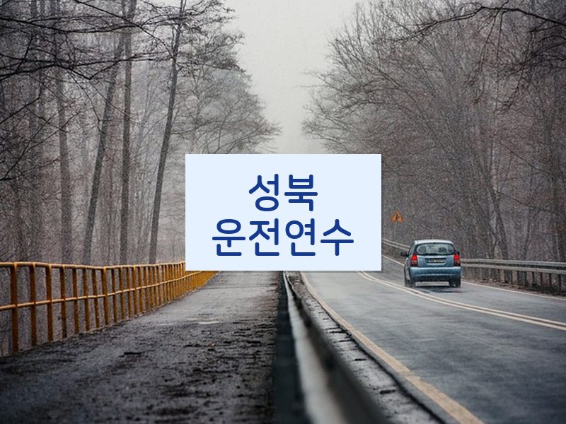 성북운전연수 후기