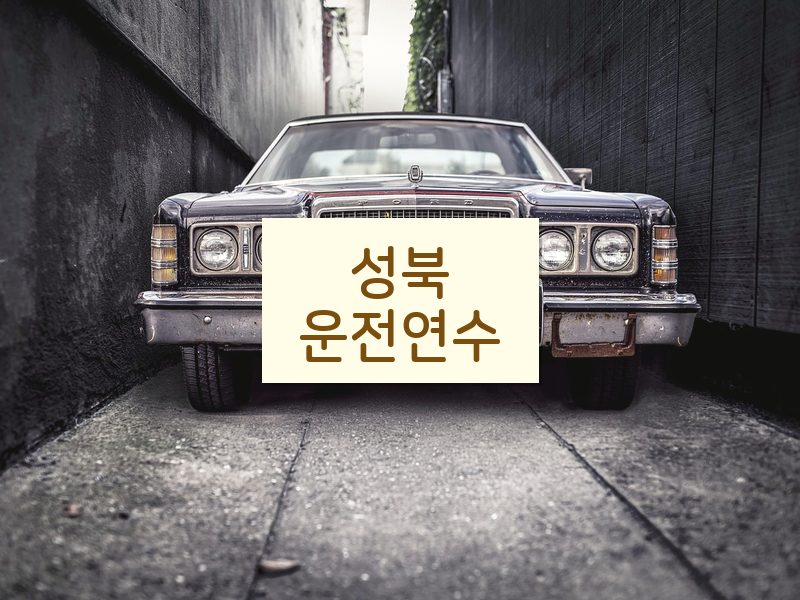 성북운전연수 후기