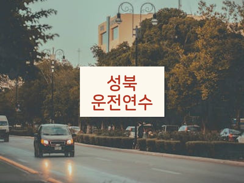 성북운전연수 후기