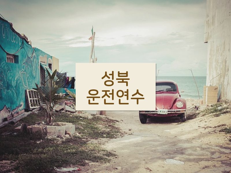 성북운전연수 후기