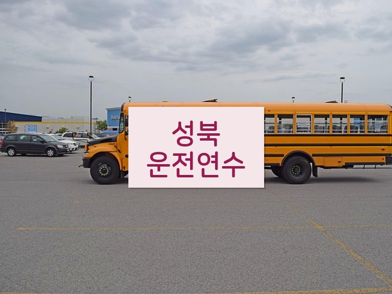 성북운전연수 후기