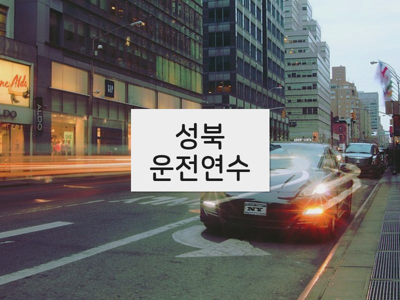 성북운전연수 후기