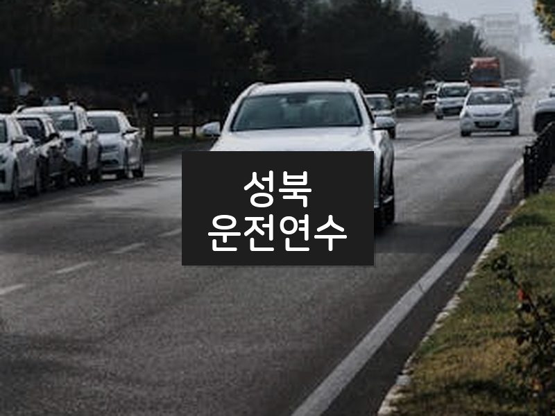 성북운전연수 후기