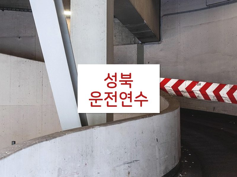 성북운전연수 후기