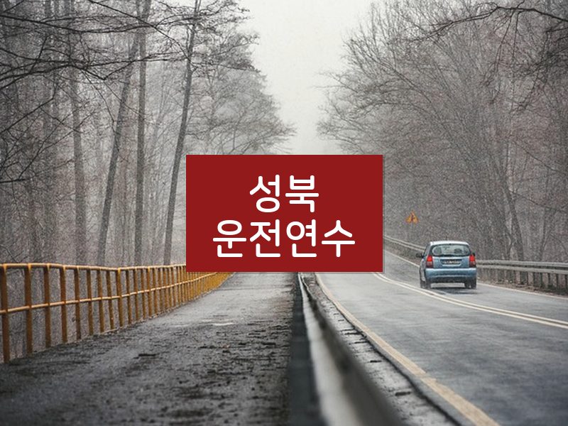 성북운전연수 후기