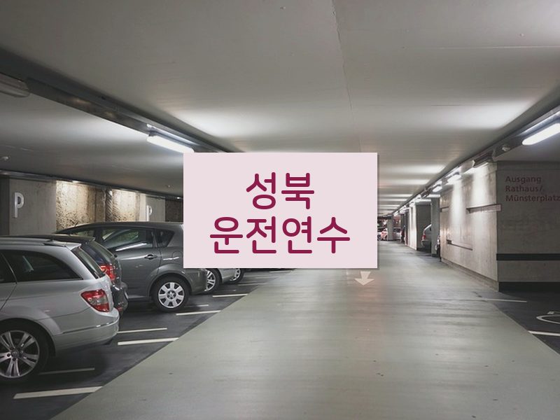 성북운전연수 후기