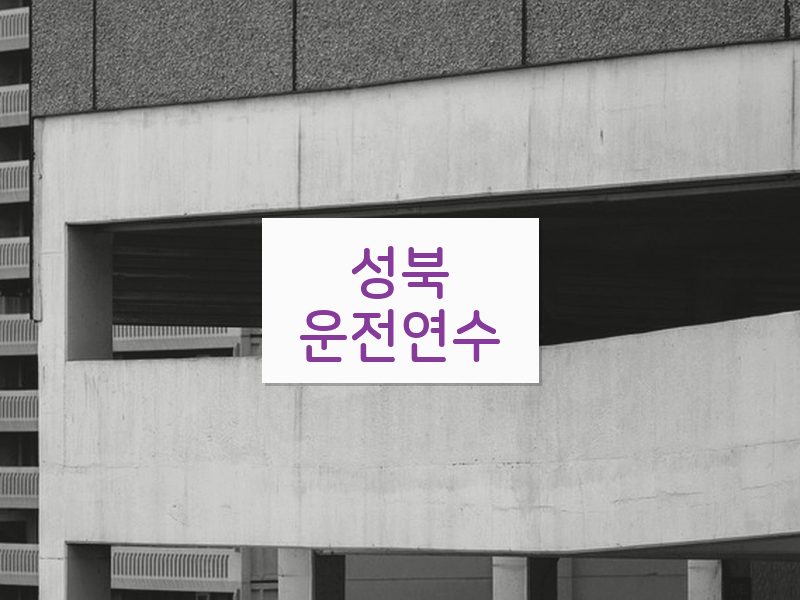 성북운전연수 후기