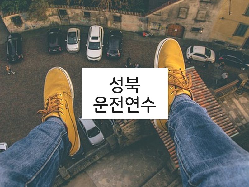 성북운전연수 후기