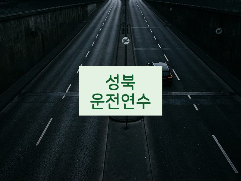 성북운전연수 후기