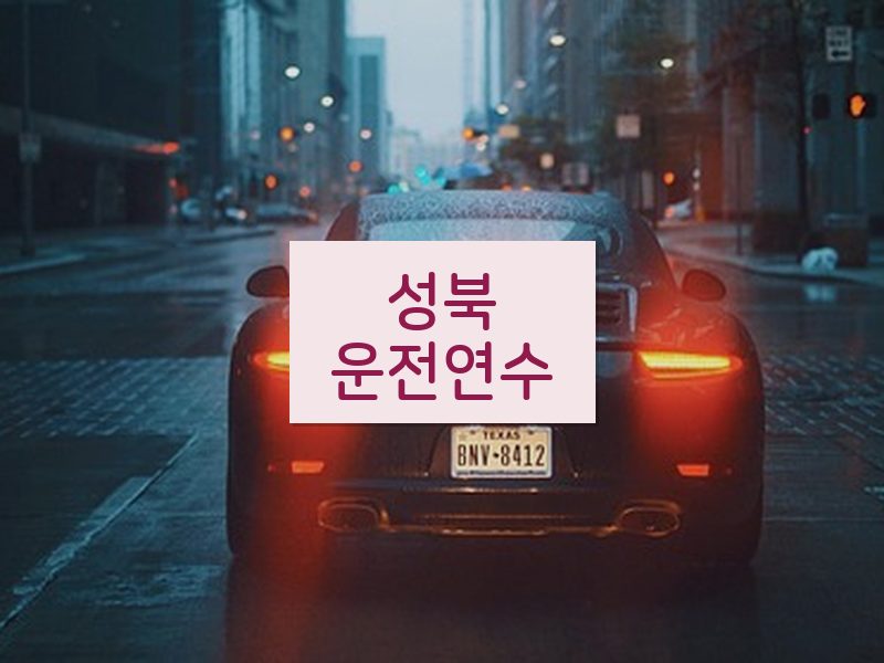 성북운전연수 후기