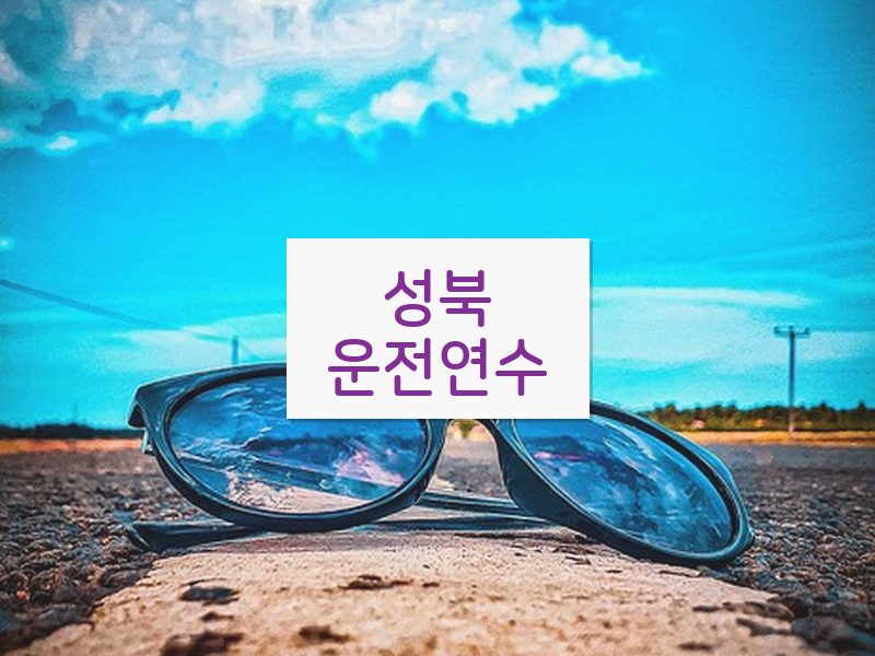성북운전연수 후기
