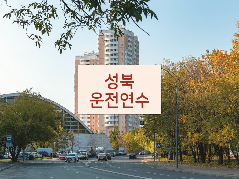성북운전연수 후기
