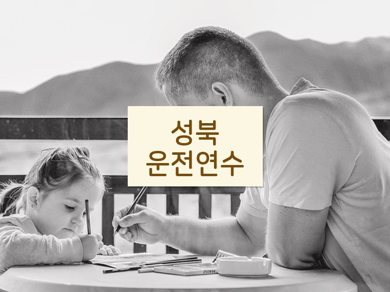 성북운전연수 후기