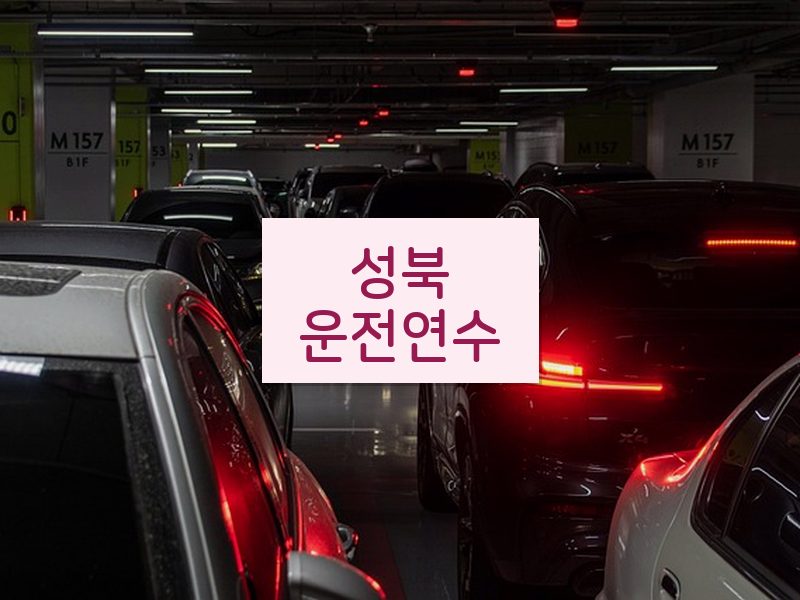 성북운전연수 후기