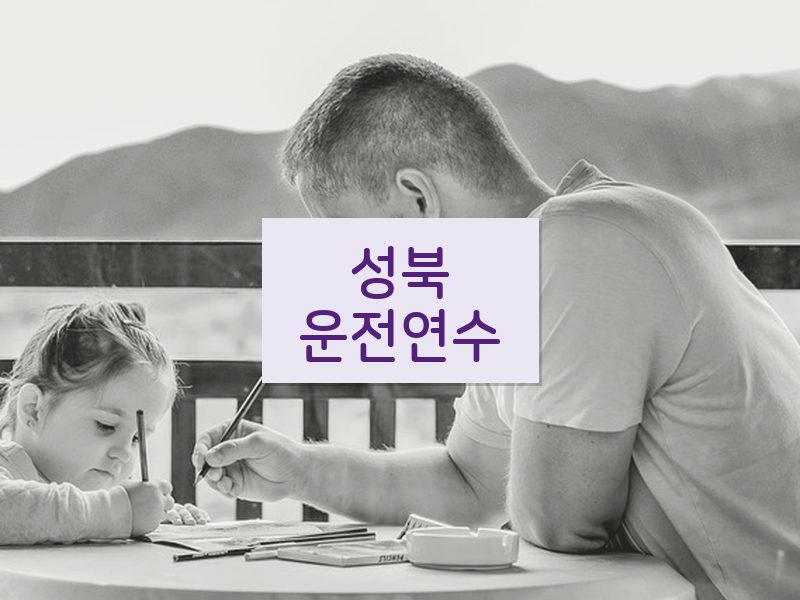 성북운전연수 후기