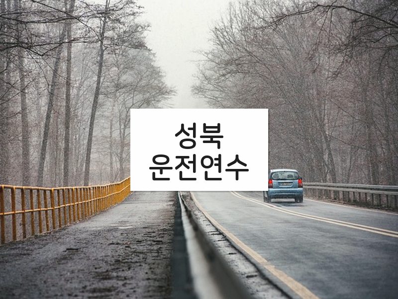 성북운전연수 후기