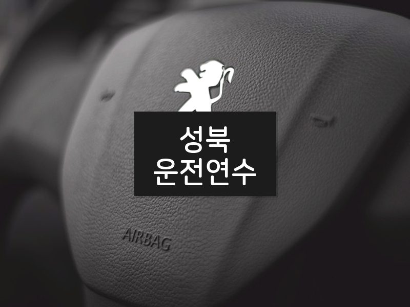 성북운전연수 후기