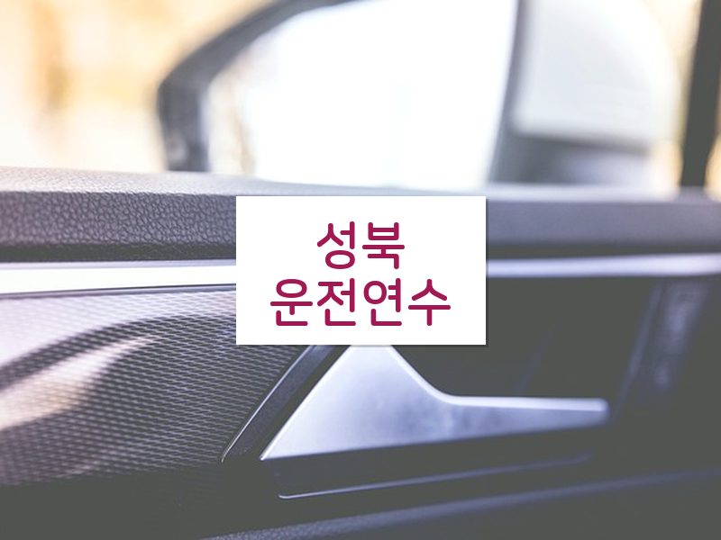 성북운전연수 후기