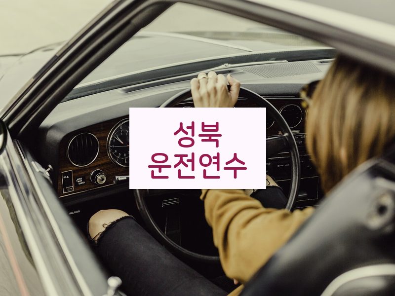 성북운전연수 후기