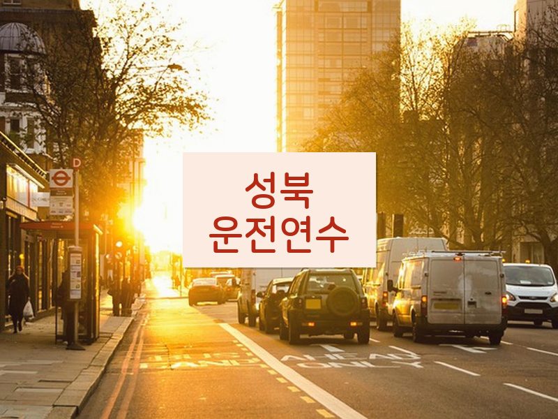 성북운전연수 후기
