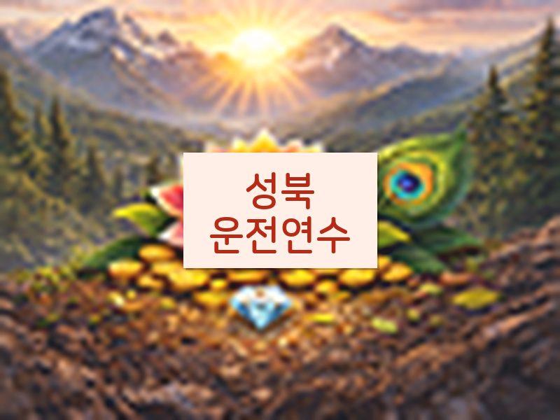 성북운전연수 후기