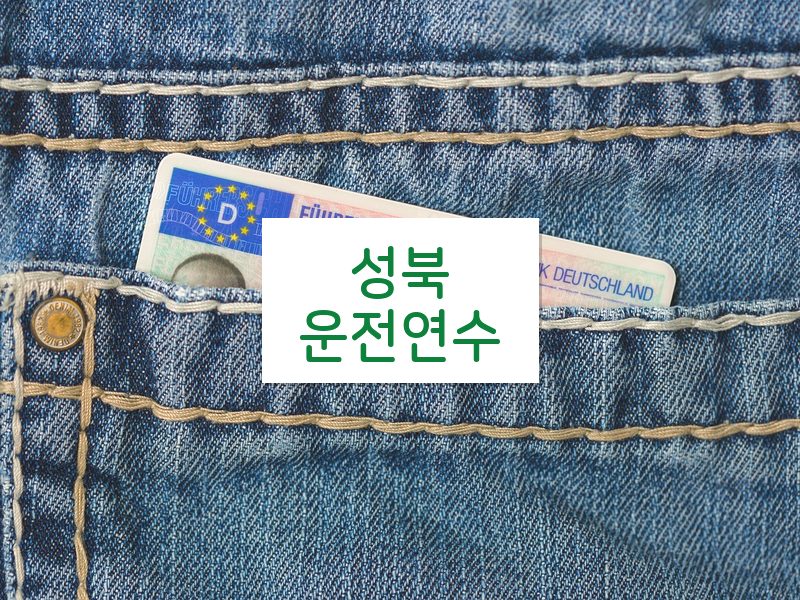 성북운전연수 후기
